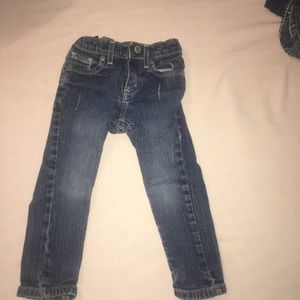 Sonoma Life and style